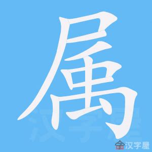 属 meaning|Chinese Word: 属